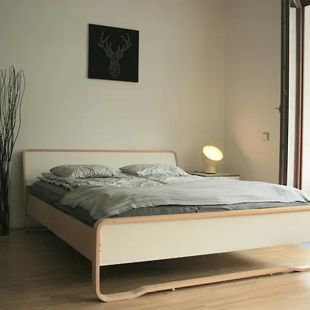 Chic Novel Flat With Terrace דירה