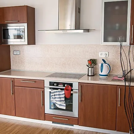 Chic Novel Flat With Terrace Praag