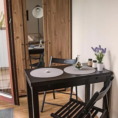 Chic Novel Flat With Terrace Appartement Praag